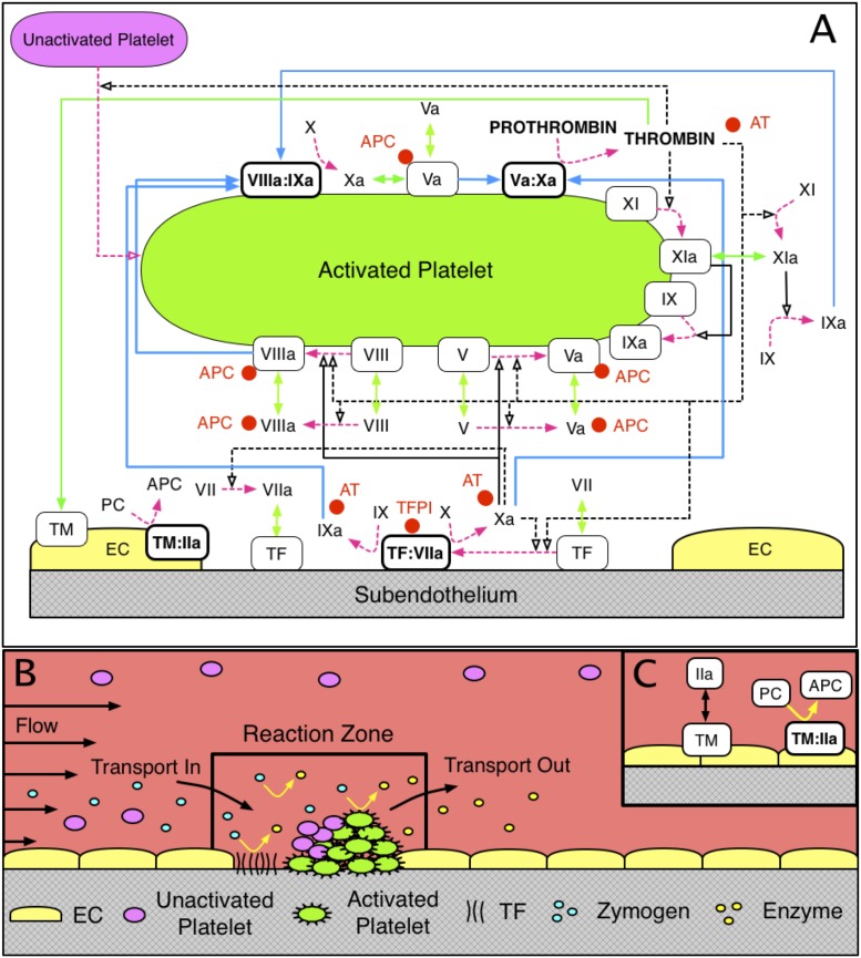 Fig 1