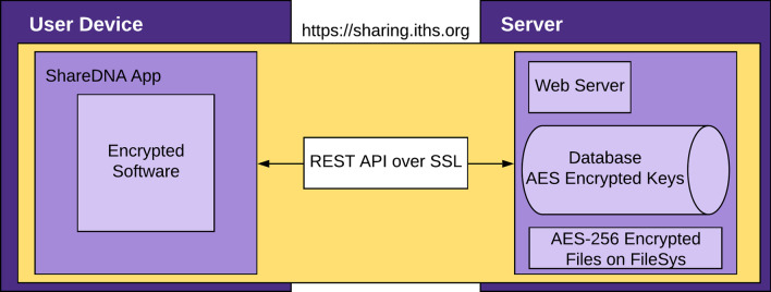 Fig. 2