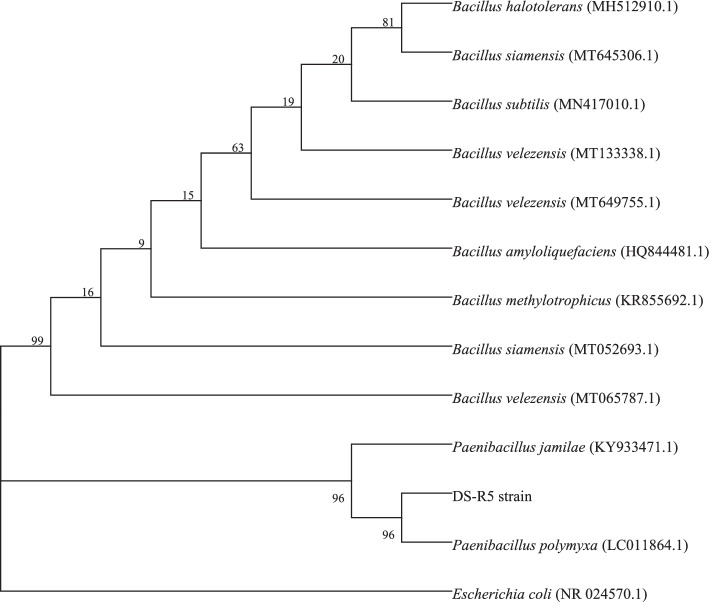 Fig. 2