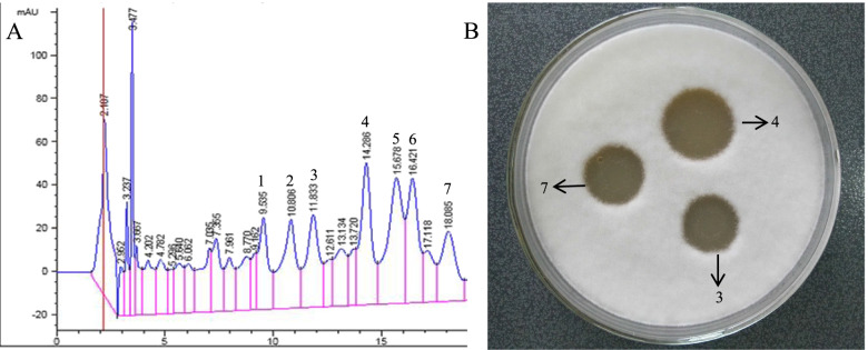 Fig. 7