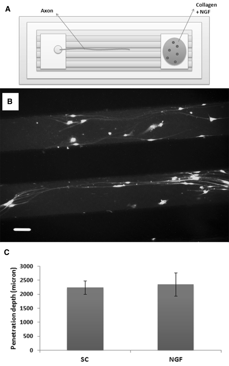 Fig. 8