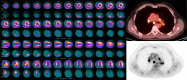 Figure 12.
