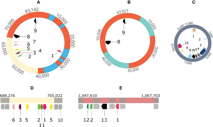 Figure 4