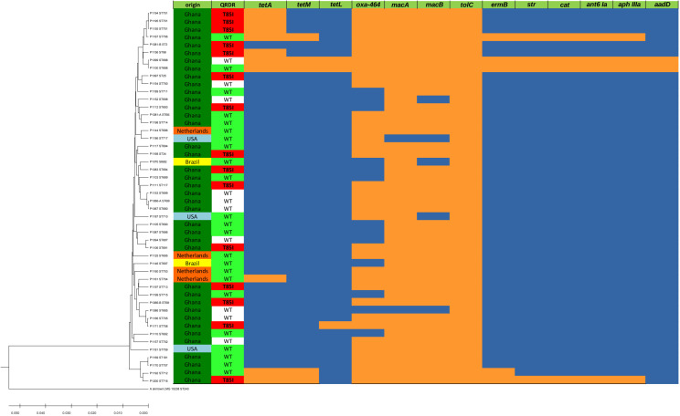 Figure 1