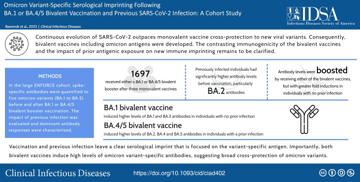 Graphical Abstract