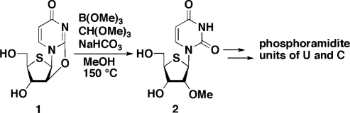 Scheme 1.