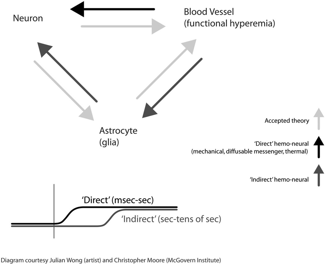 FIG 1