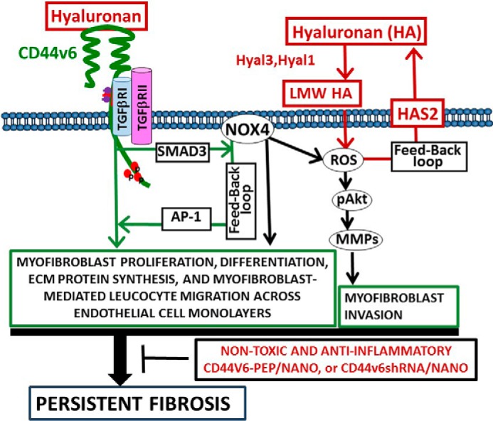 Figure 14.