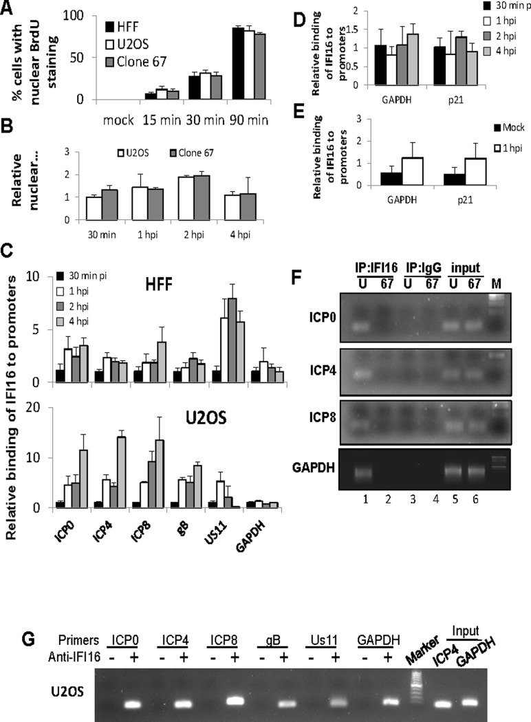 Fig 8