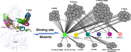 graphic file with name nihms-1015719-f0007.jpg