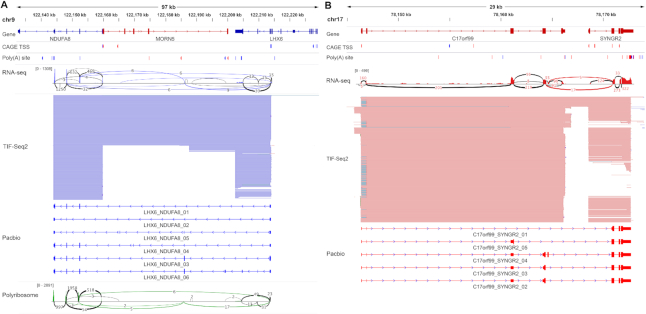 Figure 4.