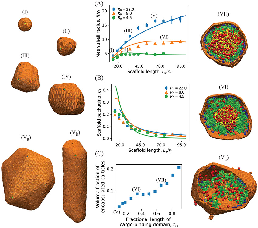 Figure 3: