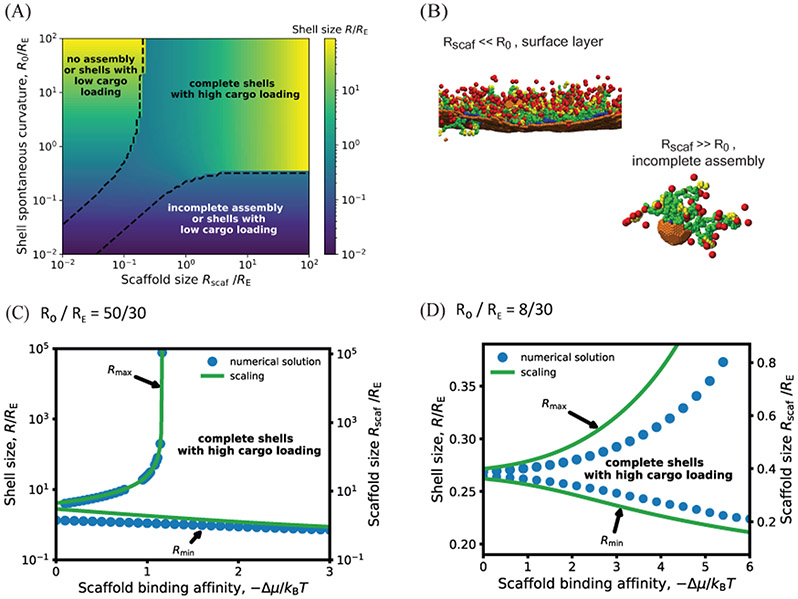 Figure 4: