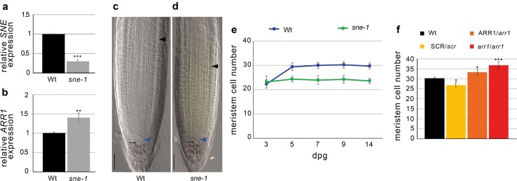 Fig. 5