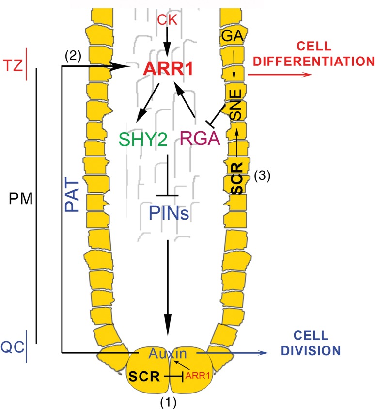 Fig. 6