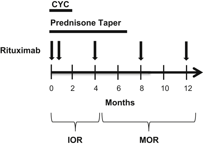 Figure 1