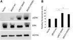 <b>FIG. 3.</b>