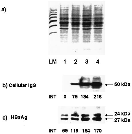 FIG. 5.