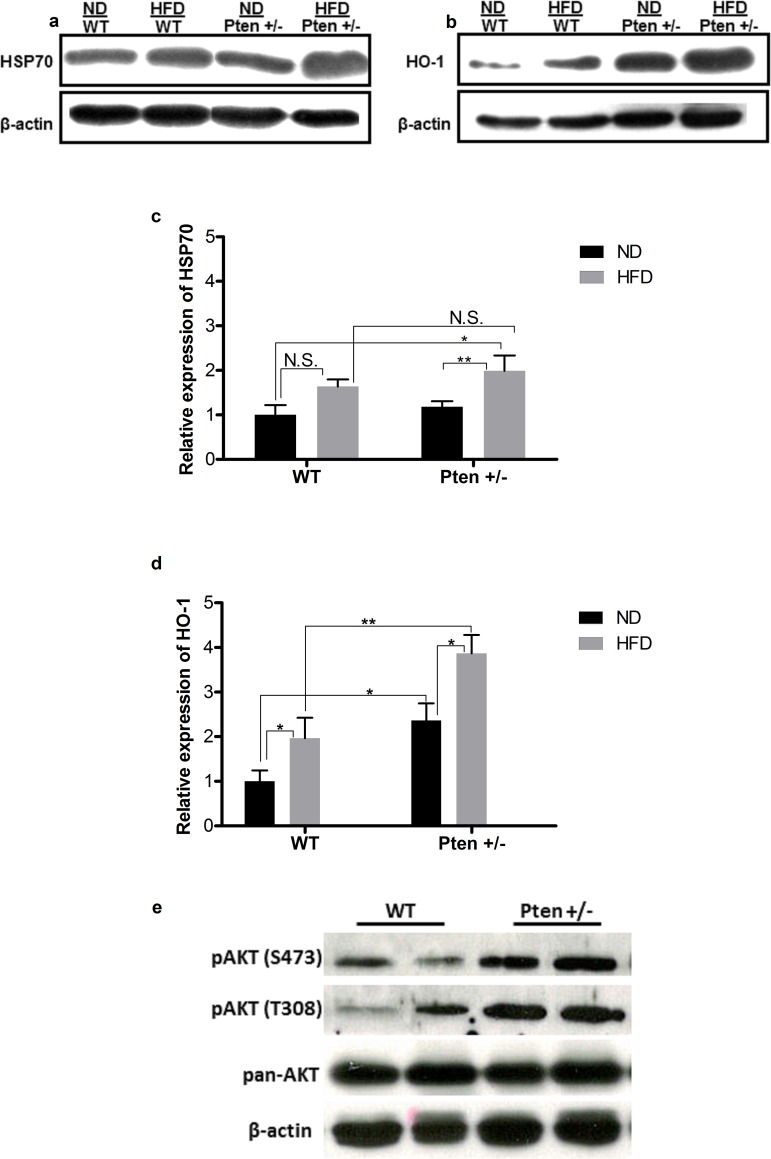 Fig 7