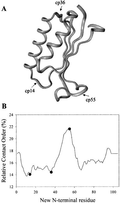 Fig 1.