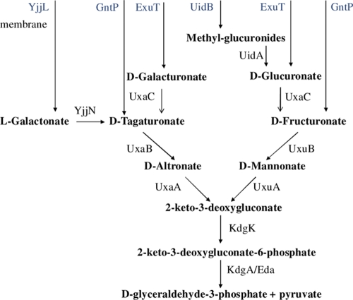 Fig. 1.