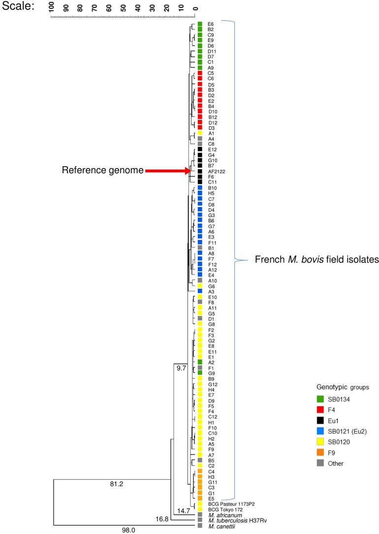 FIGURE 1