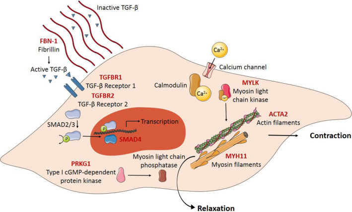 FIGURE 6