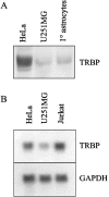 FIG. 5.