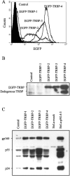 FIG. 6.