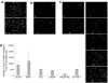 <b>Figure 3</b>