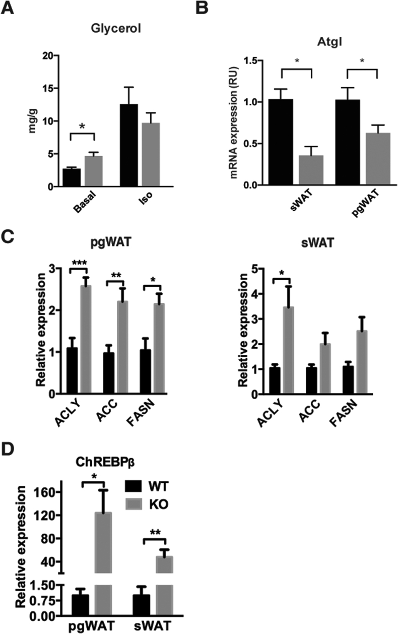 Figure 4