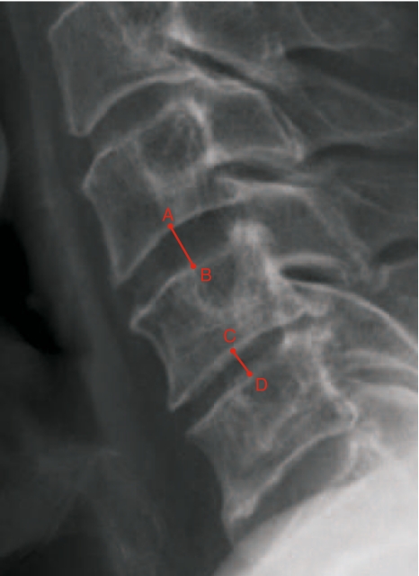Fig. 1