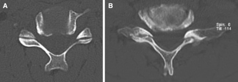 Fig. 6