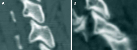 Fig. 7