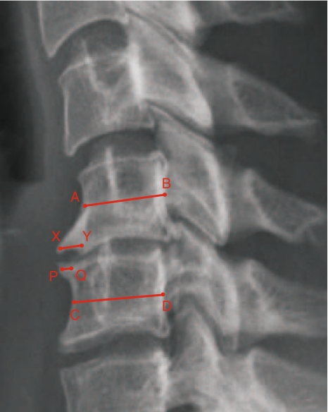 Fig. 2