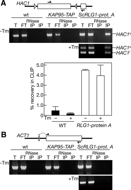 Figure 10.