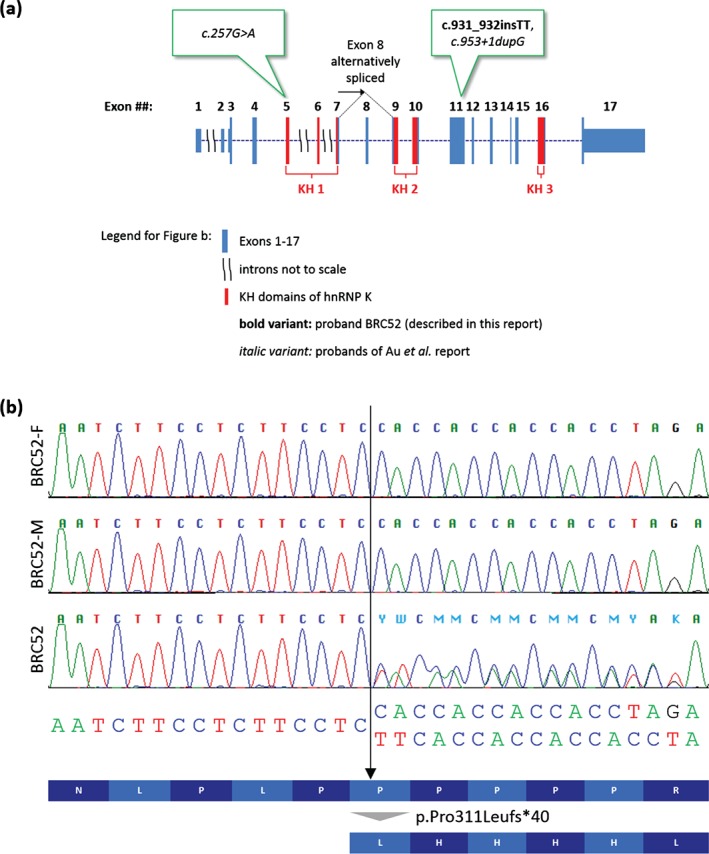 CGE-12773-FIG-0002-c