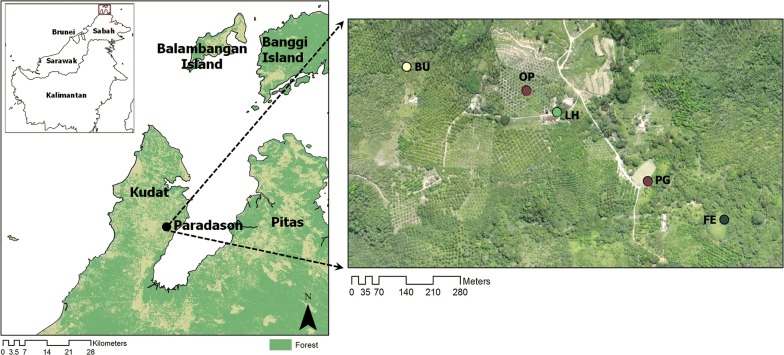 Fig. 1