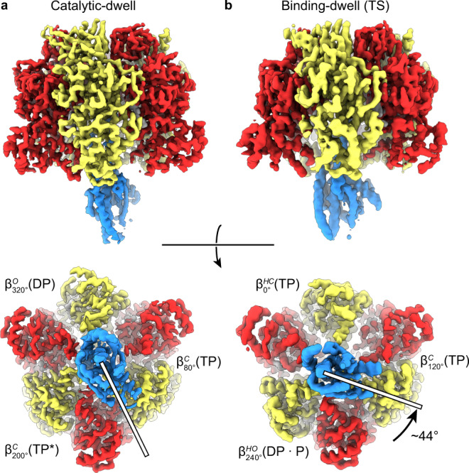 Fig. 2