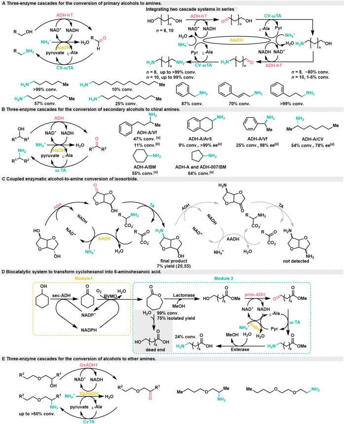 Scheme 3