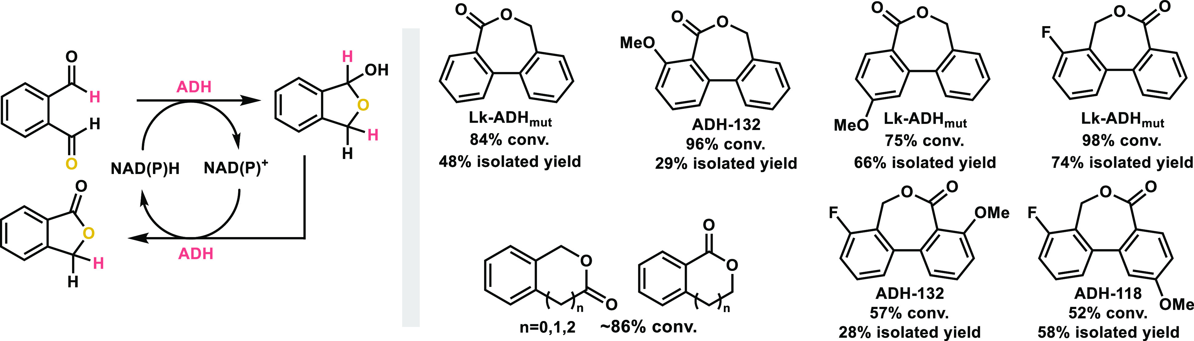 Scheme 10