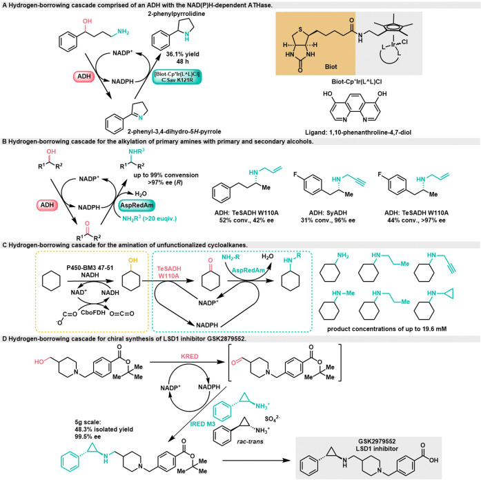 Scheme 6