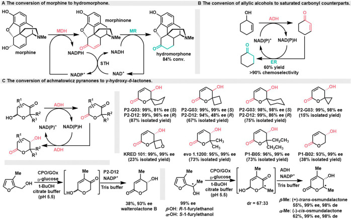 Scheme 9