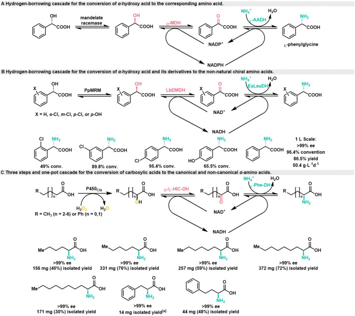 Scheme 7