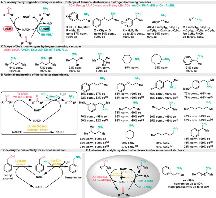 Scheme 4