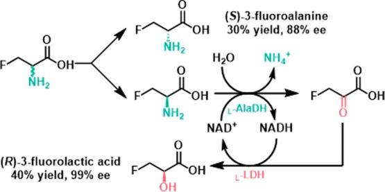 Scheme 8