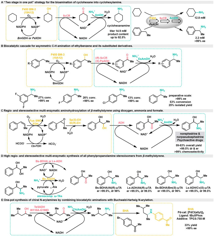 Scheme 5