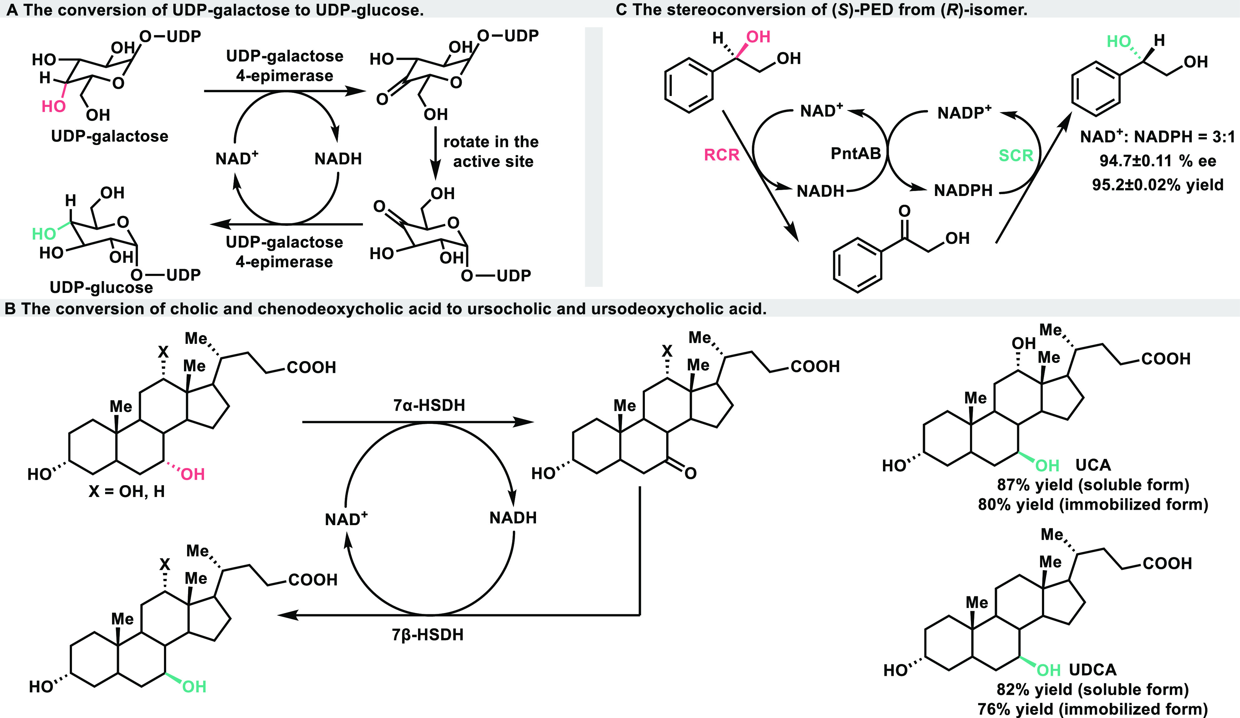 Scheme 2