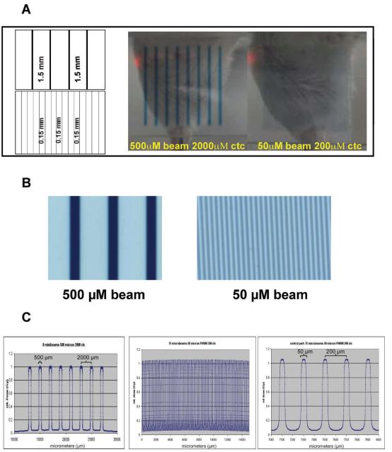 FIG. 1