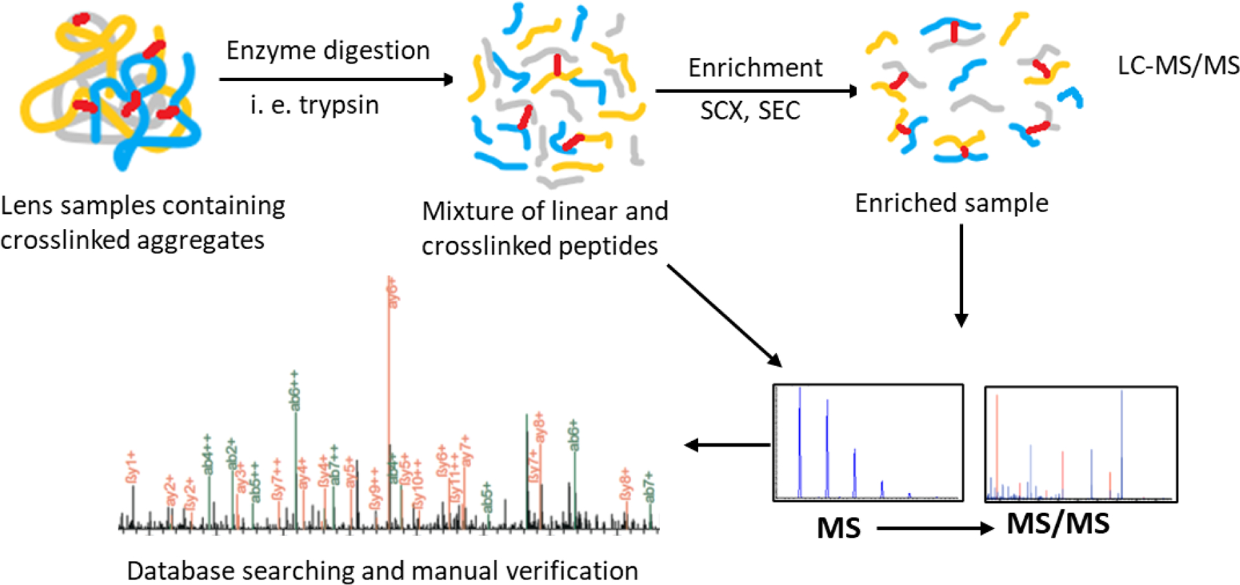 Figure 1: